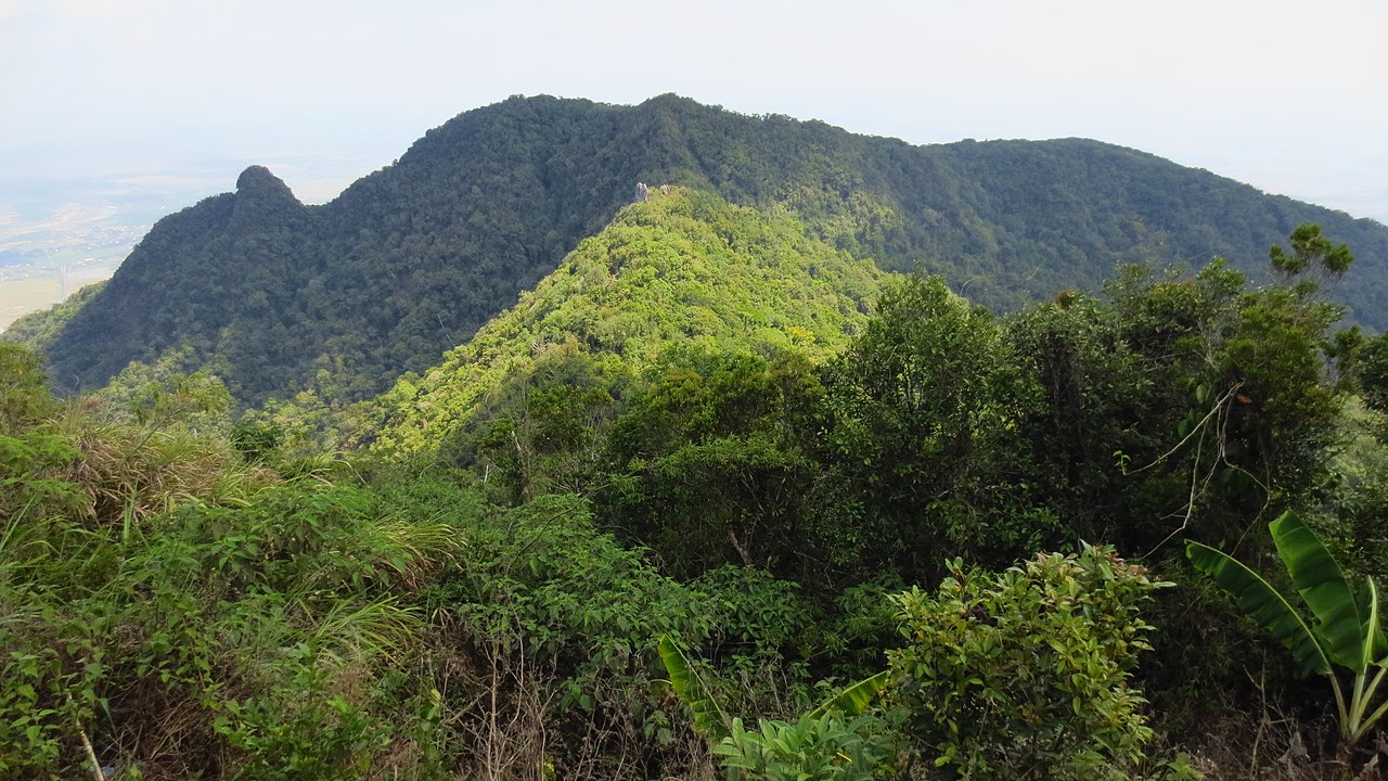 Mount Arayat by Andrew Martin via Wikimedia cc