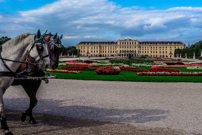 Schönbrunn Palace from the Park