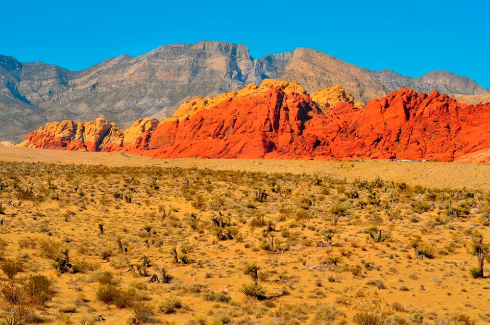 Red Rock Canyon National Conservation Area, Nevada