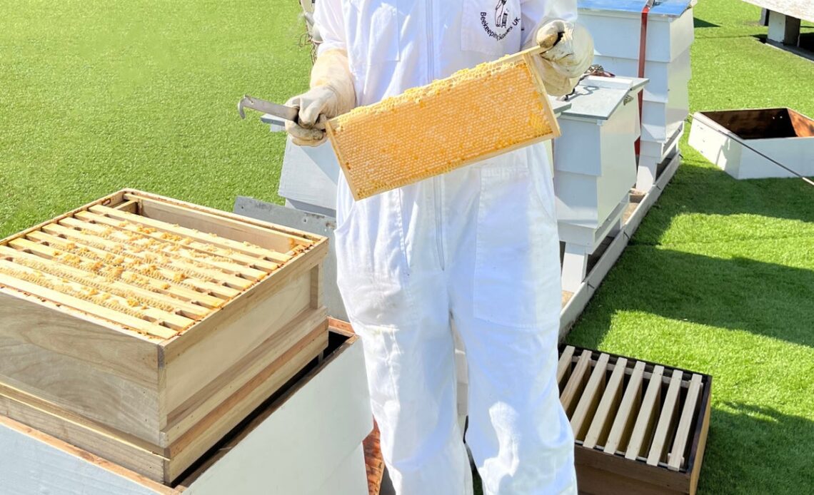 Beeswax and breakfast in bed: What’s abuzz at this London hotel’s rooftop hives