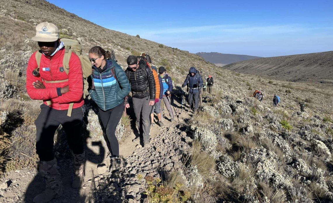 Yes, beginners can climb Kilimanjaro. Here, a local guide, leads some up Africa's tallest peak.