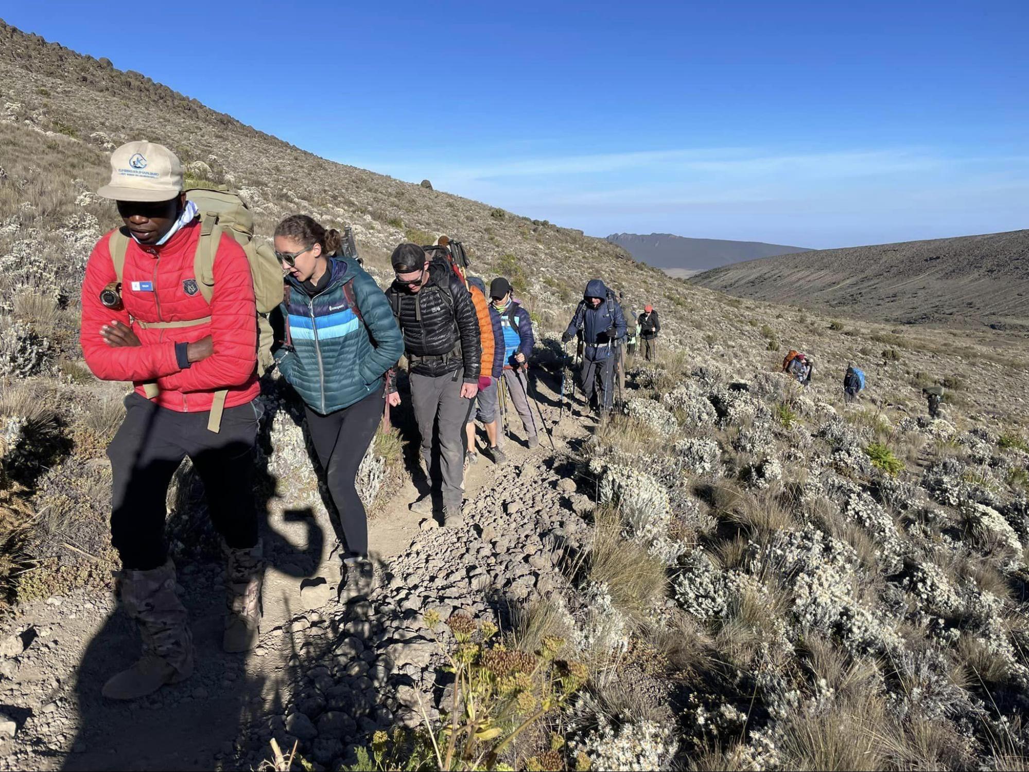 Yes, beginners can climb Kilimanjaro. Here, a local guide, leads some up Africa's tallest peak.