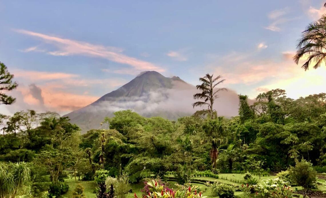 A lush, green jungle in Costa Rica near Arenal