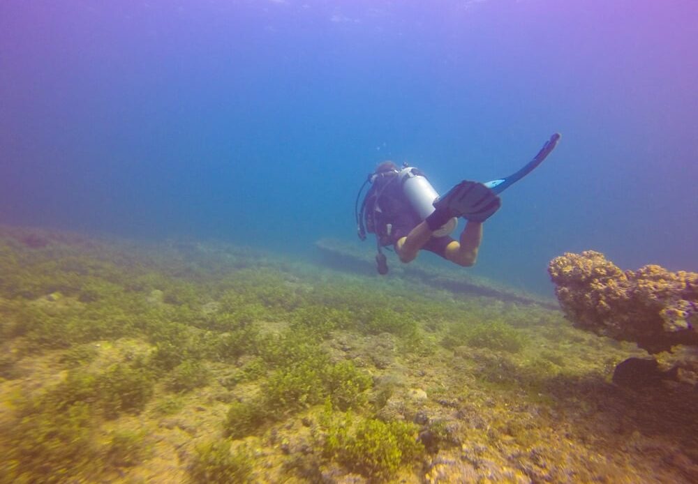 Scuba diver in Puerto Vallarta