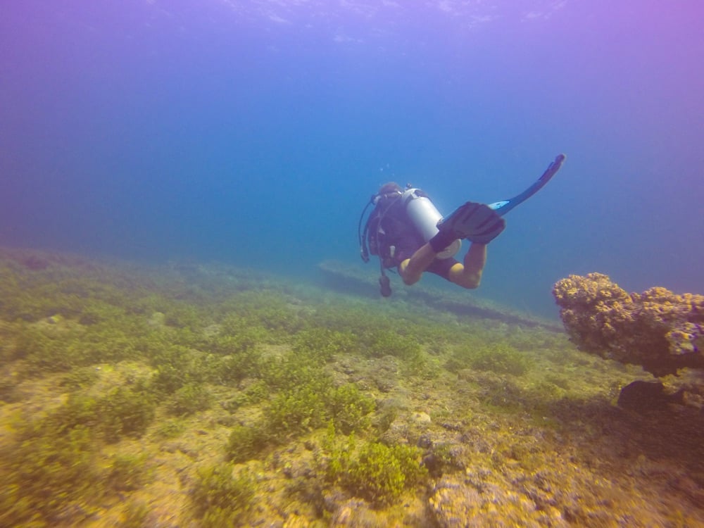 Scuba diver in Puerto Vallarta