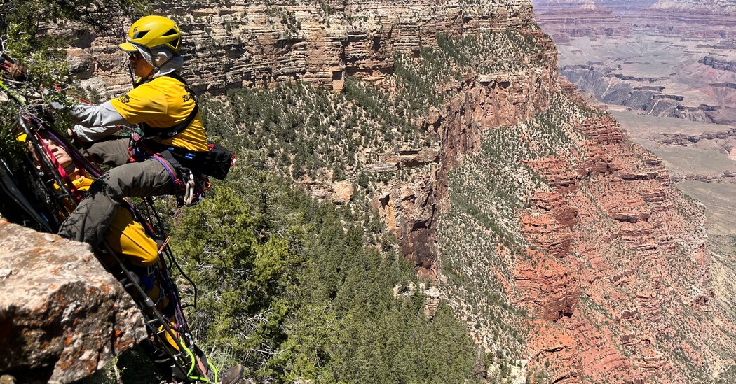 How Grand Canyon National Park Works to Prevent Heat-Related Deaths and Injuries