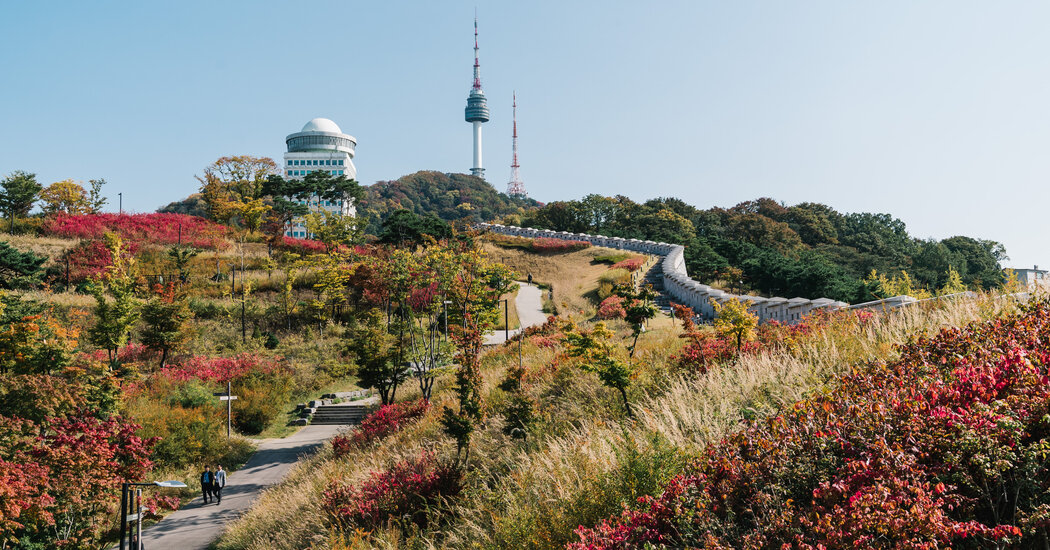 How to Eat, Drink and Gallery Hop Like a Seoul Local