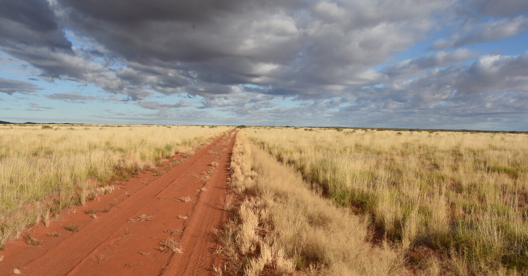 In the Heart of the Australian Outback, Safeguarding a Sacred Land