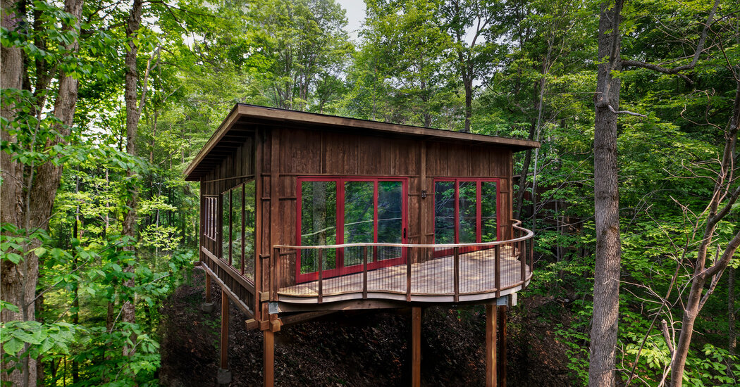 In the Vermont Woods, a Loftier Place for Leaf-Peeping