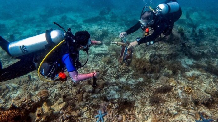 Shore It Up Underwater cleanup