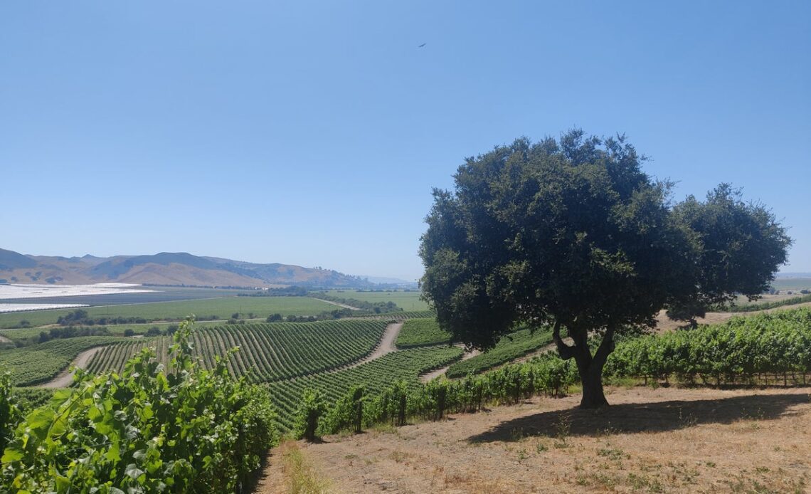 Santa Ynez, California city guide: What to do in the wine country