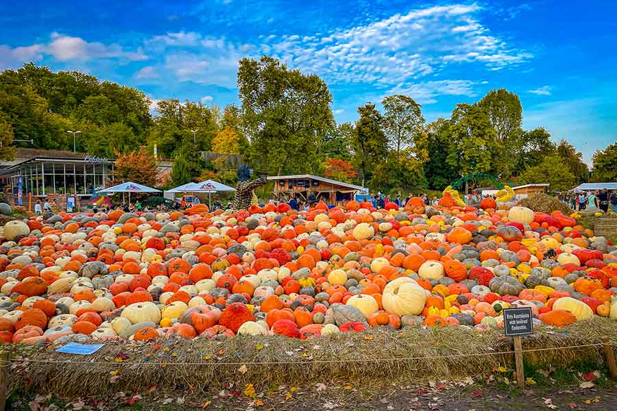 The Ultimate Guide to Ludwigsburg Pumpkin Festival 2023 From Giant