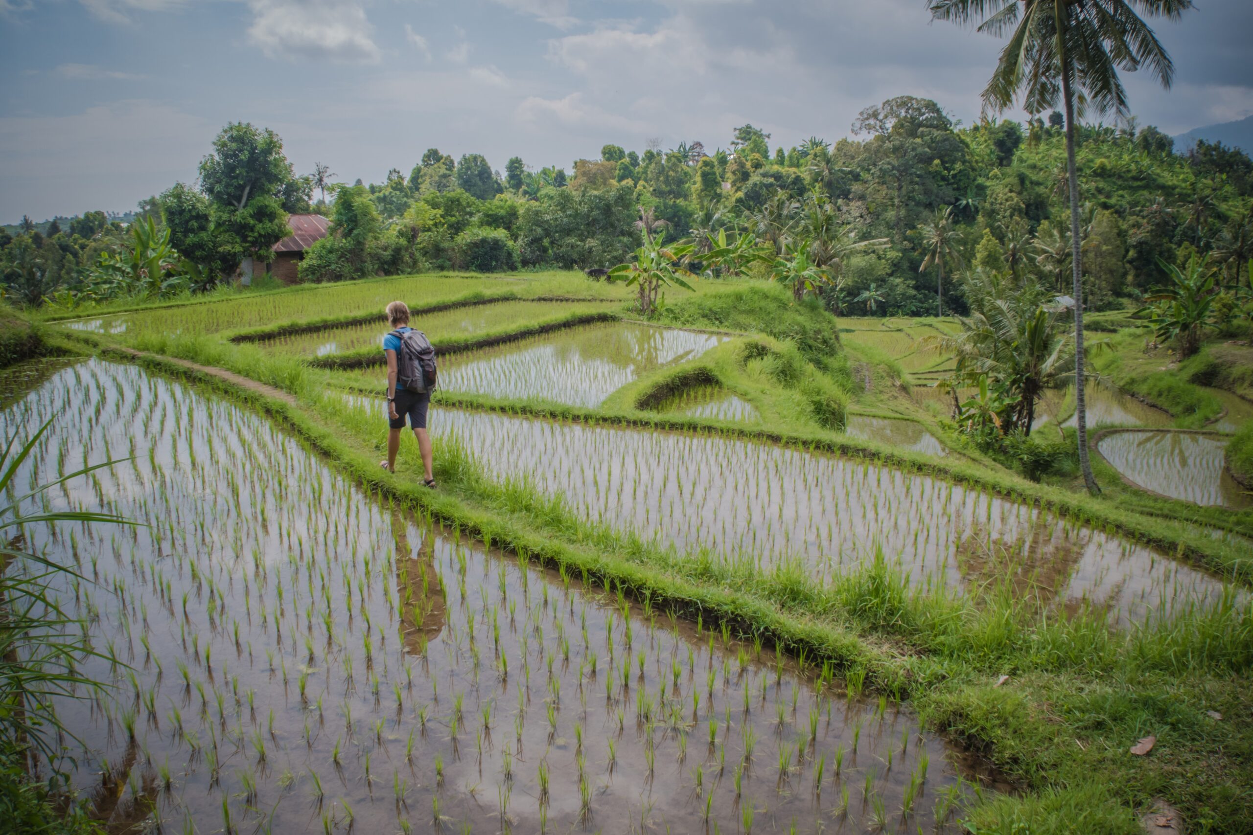 Getting the Most Out of Your Holiday in Bali