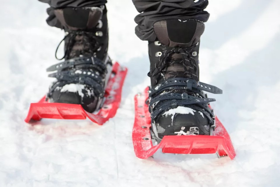 Snowshoes. Snowshoeing closeup. Red new modern high-end snowshoes. Man hiking in snow on snowy winter day.