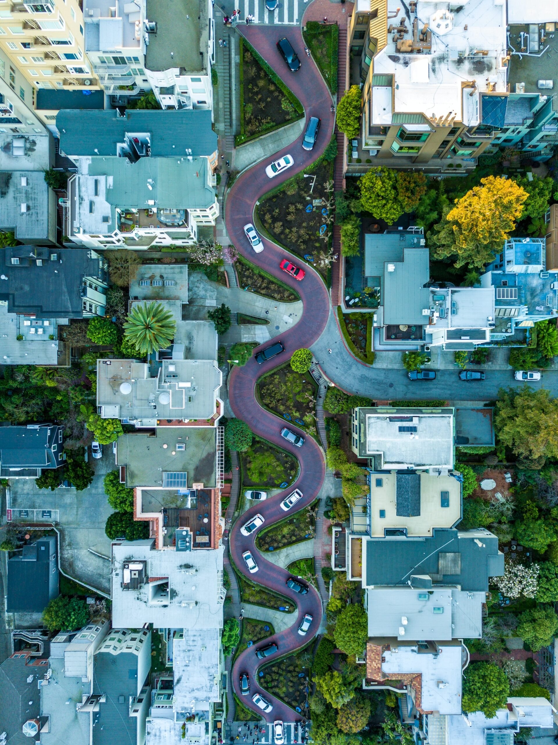 Birdseye view of Lombard Street (photo: Brandon Nelson)