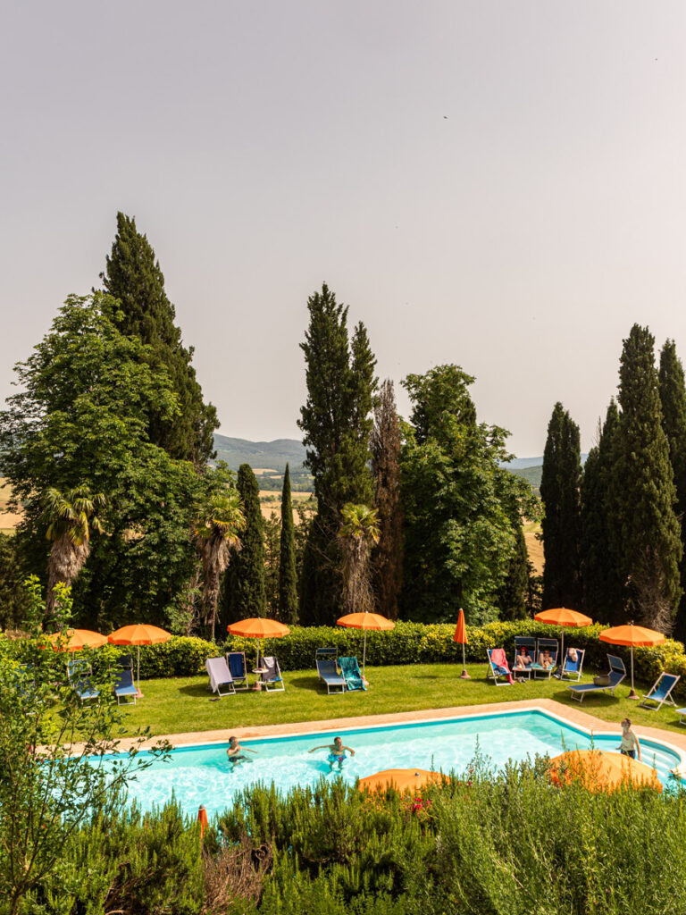 swimming pool surrounded by trees