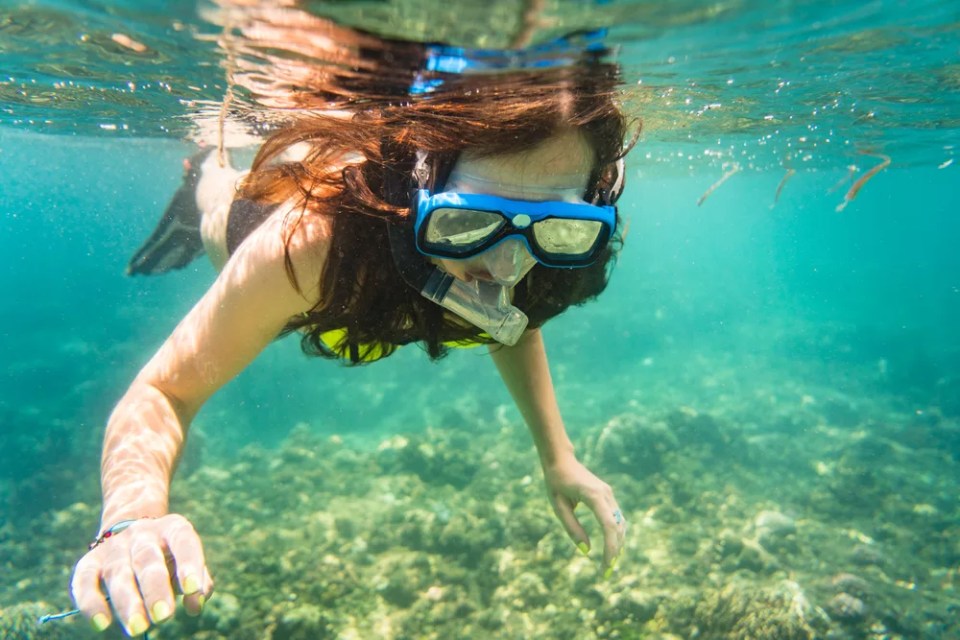 Woman snorkelling over floor of tropical sea in her summer vacation