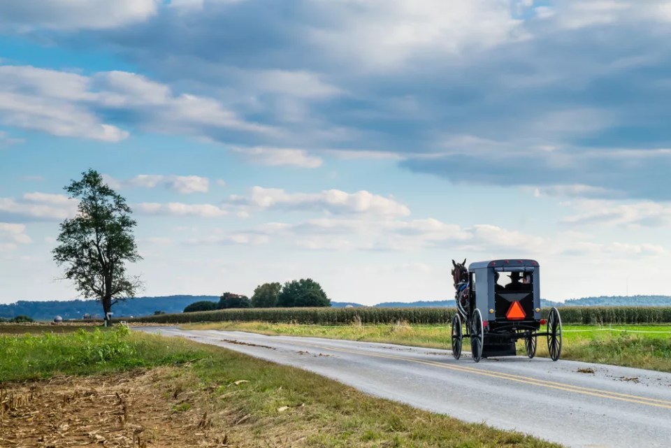 Amish carriage along a country road in Lancaster, Pennsylvania