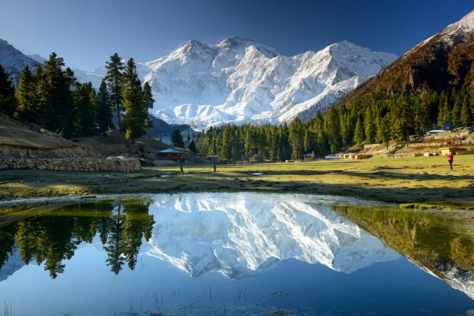 Nanga Parbat reflected in a pond at Fairy Meadows. The world's ninth highest mountain towering above idyllic alpine scenery in Northern Pakistan.