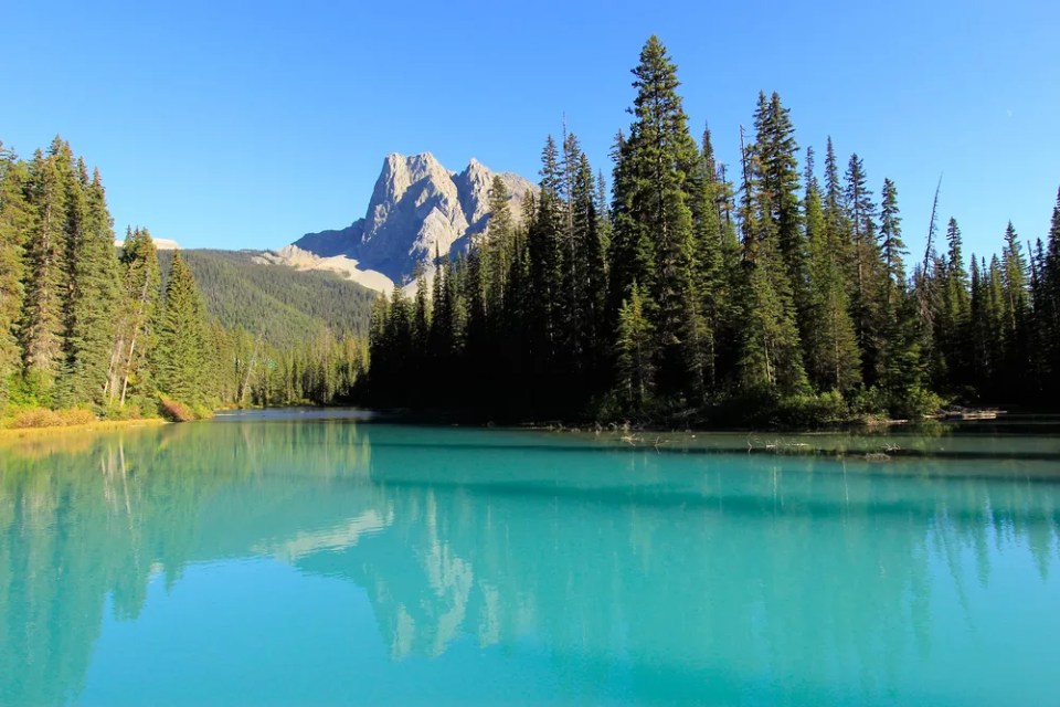 Mount Burgess and Emerald Lake, Yoho National Park, British Columbia, Canada