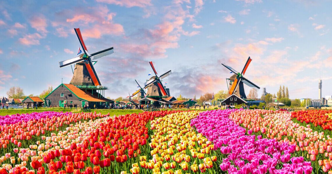 8 Best Travel Insurance for the Netherlands: 10 Top Plans