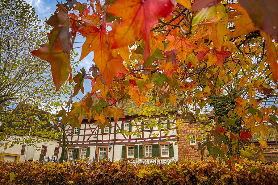Image of Autumn in Germany with a building surrounded by beautiful fall foliage with red, green, yellow, and orange leaves.