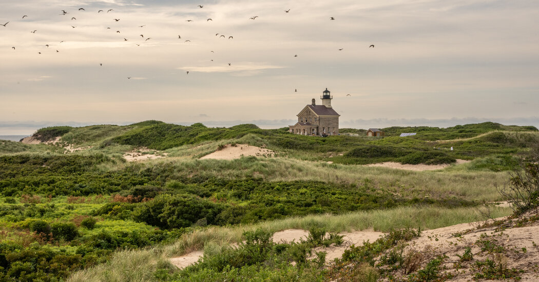 Block Island’s Nature Preserves Offer Solitude and Wildlife