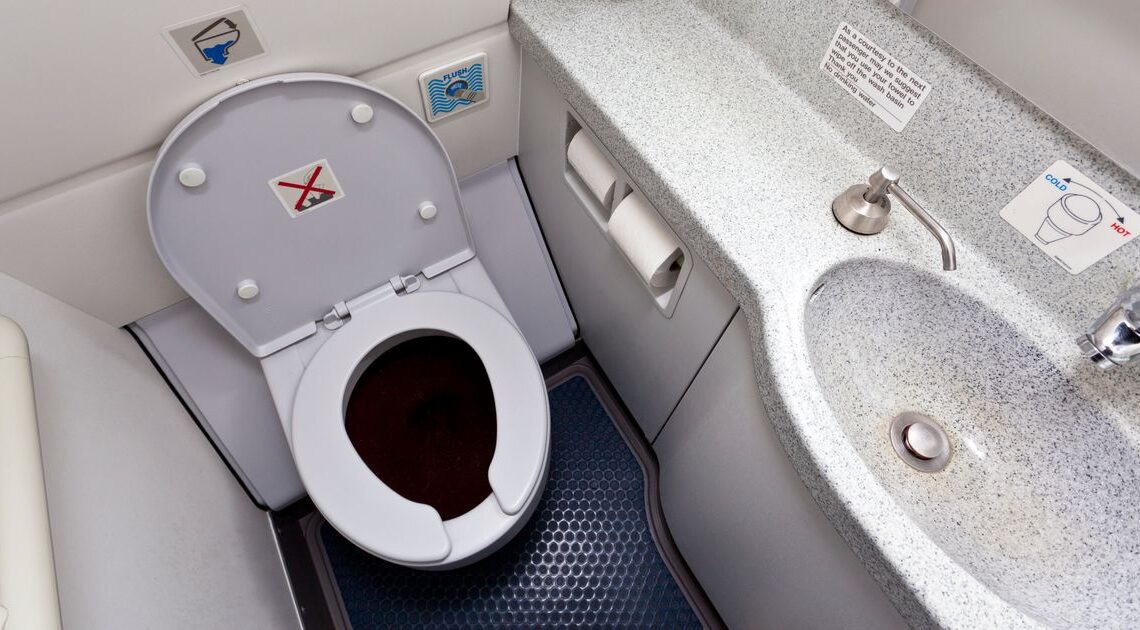 Pooping On A Plane: How To Avoid A ‘Biohazard’ Emergency
