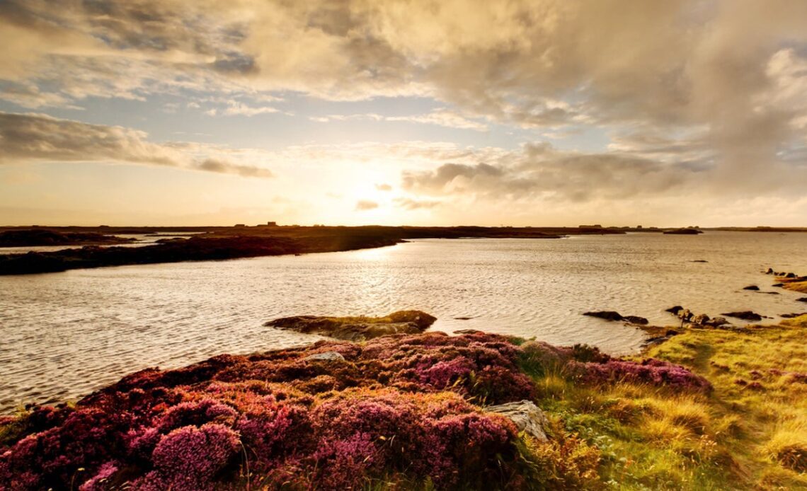Remote Scottish island offers dream job – with no previous experience needed