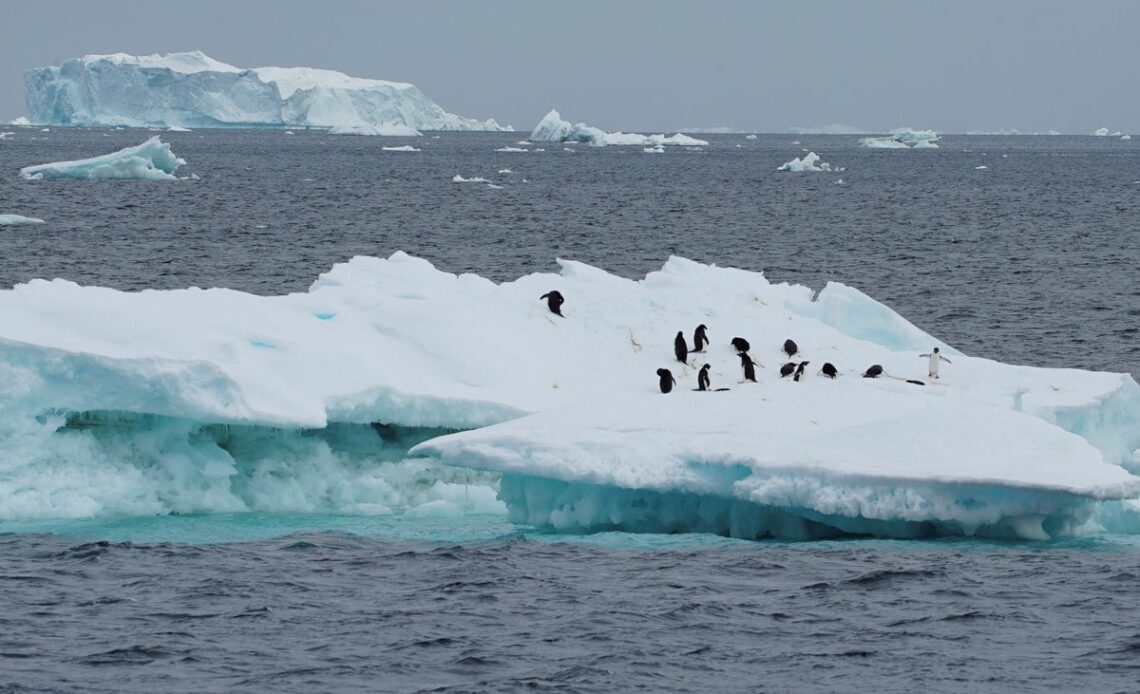 Urgent rescue mission launched to save researcher in Antarctic