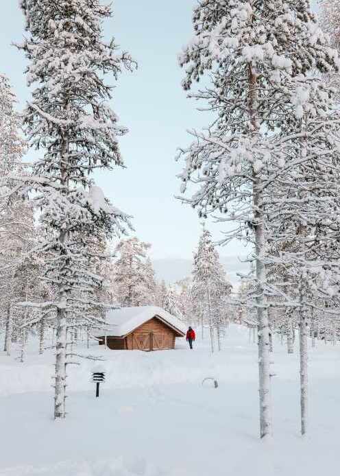 The Northern Lights Village And Star Arctic... In Lapland, Finland (23)