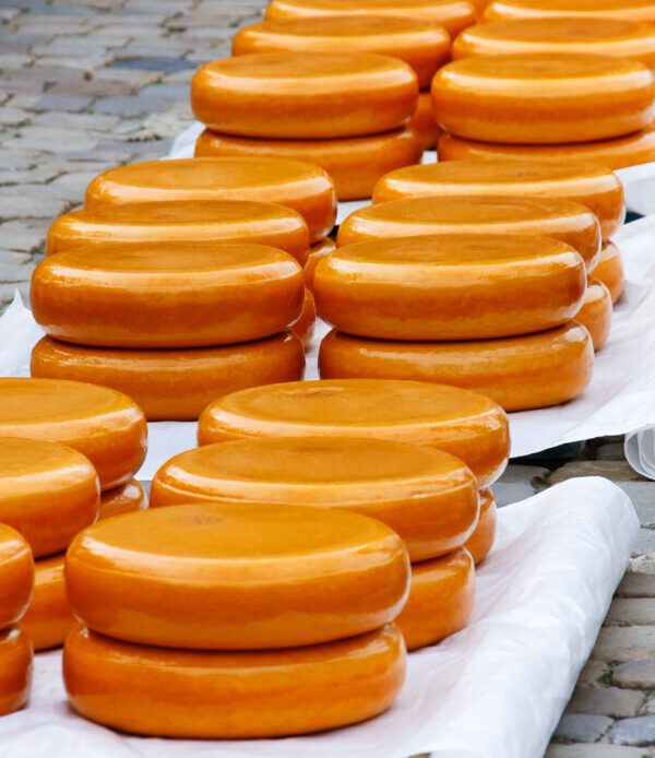 Cheese in Markt Square, Gouda, Netherlands
