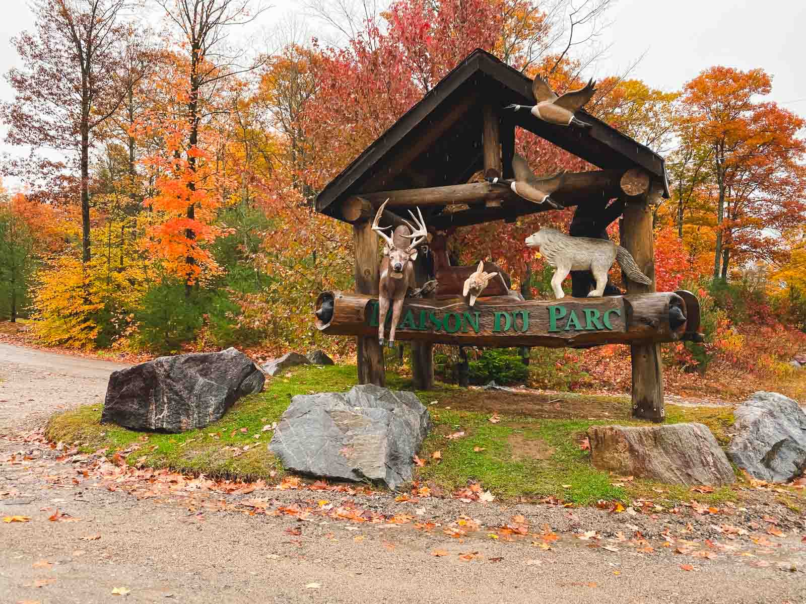 Parc Omega Wolf Lodge Self Drive