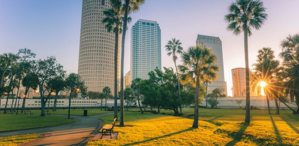 best time to visit tampa palm trees and sunset