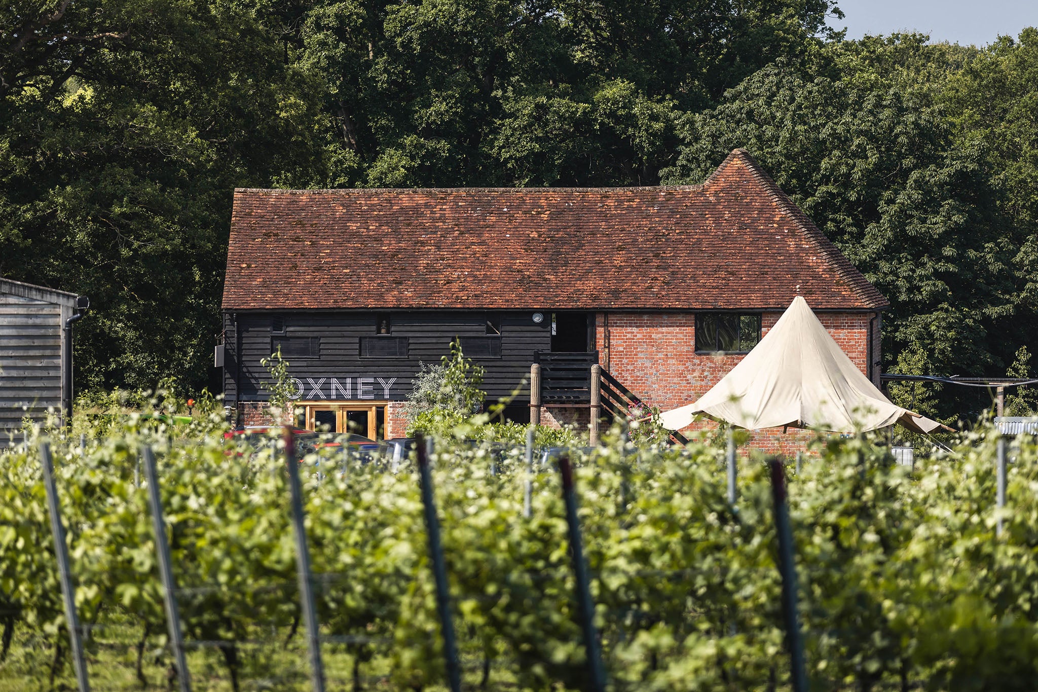 <p>Oxney is famous for making some of the best organic wines in the country </p>