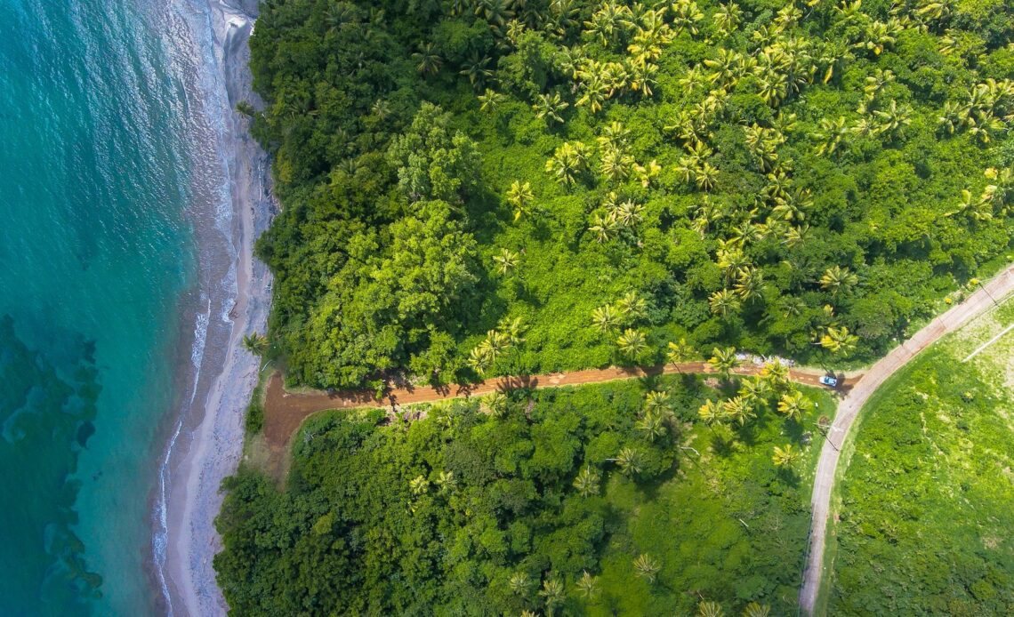 The greenery of Granada is worth protecting by adhering to sustainable travel practices. (photo: Hugh Whyte)