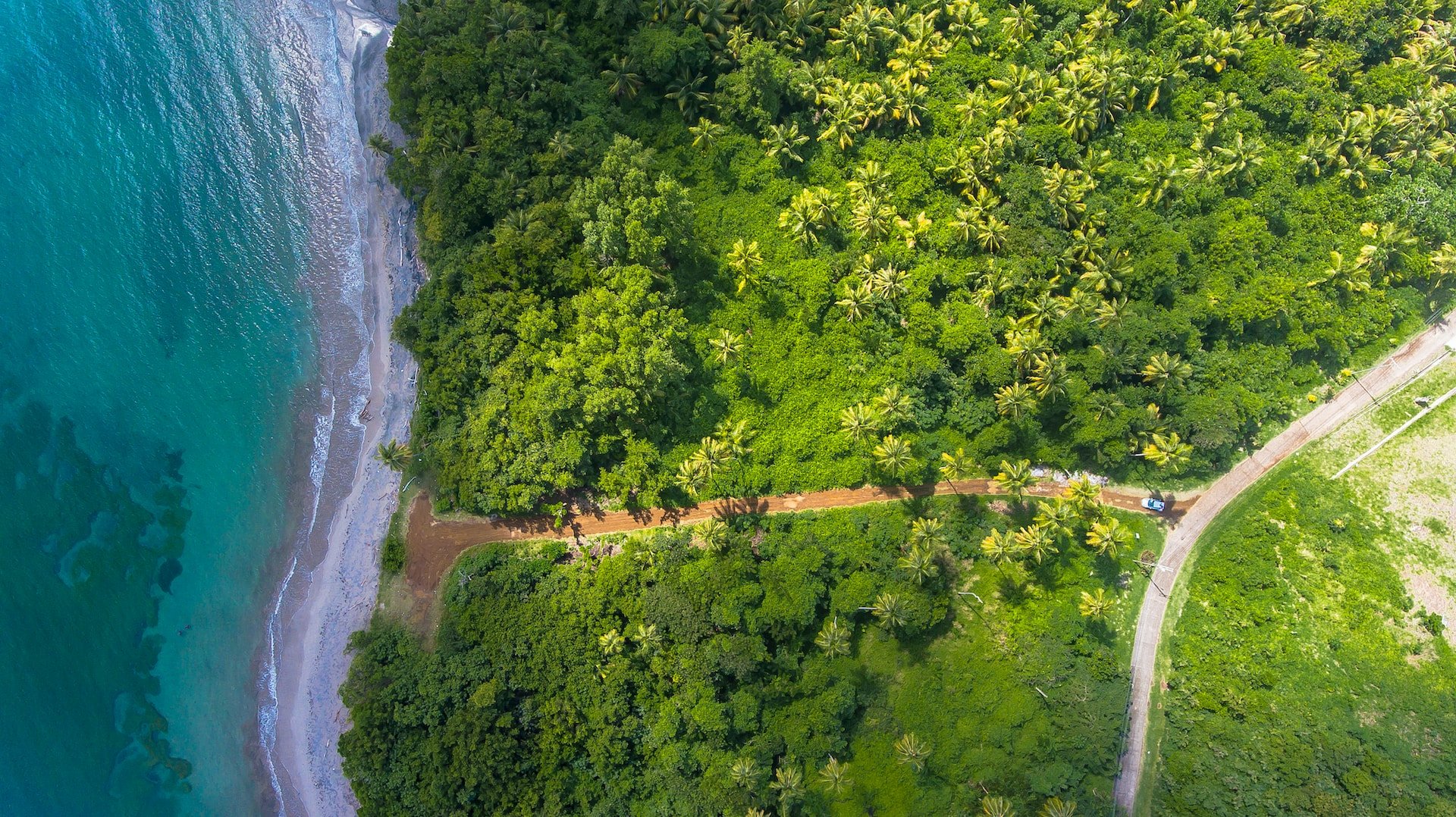 The greenery of Granada is worth protecting by adhering to sustainable travel practices. (photo: Hugh Whyte)