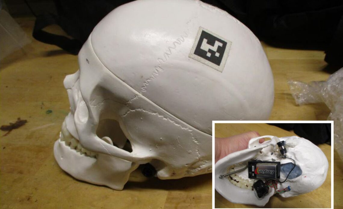 Model of human skull found in luggage shuts down airport security