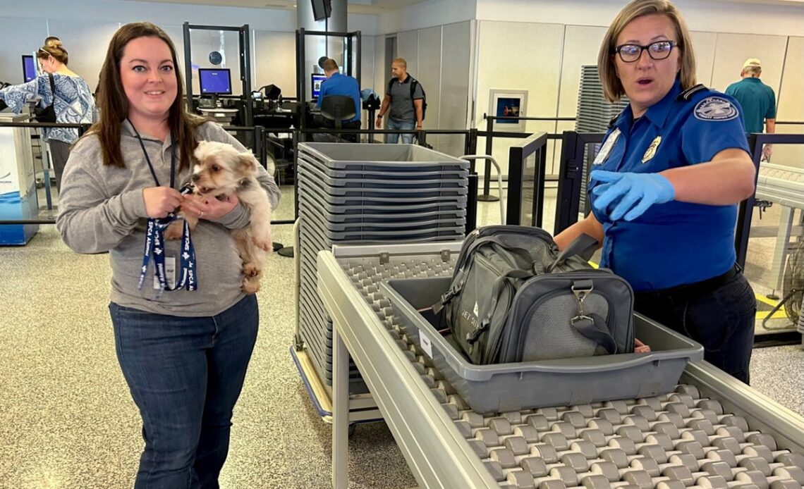 Passengers warned not to put pets through X-ray scanners at airports