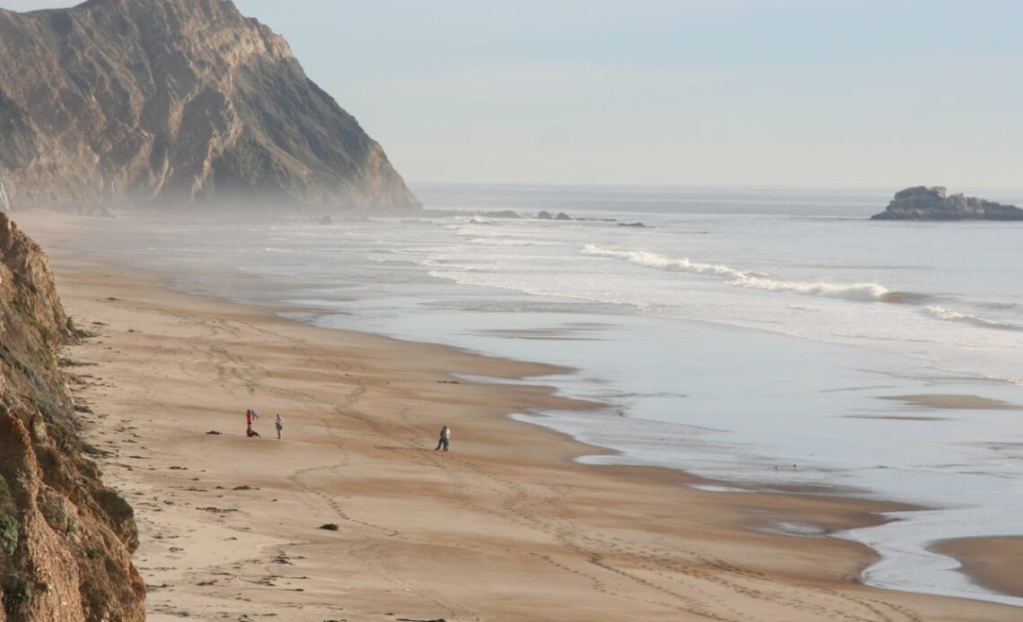 Swimmer missing after alleged shark attack in the Bay Area