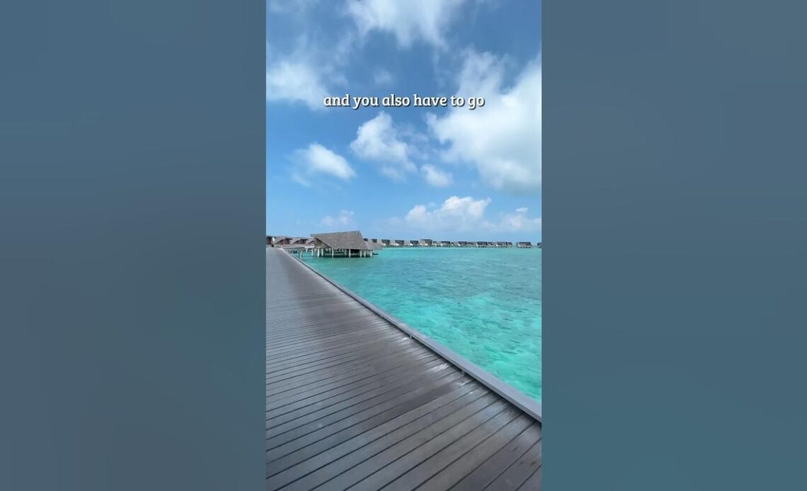 The world’s BEST vacation destination?!🏝️ Maldives or Seychelles? #shorts