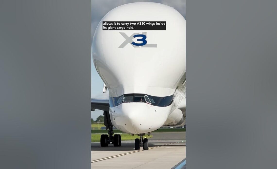 This Airbus holds WHAT?! Six Unique Aviation Facts #shorts