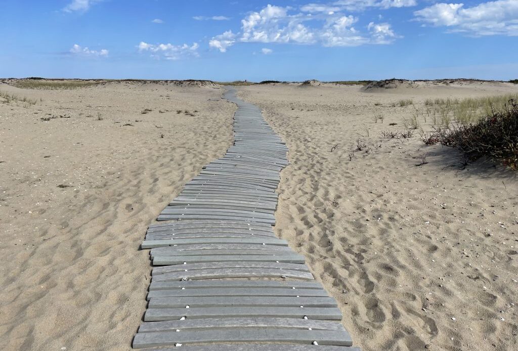 A pathway of wooden boards on the sand on Chappaquiddick Island.