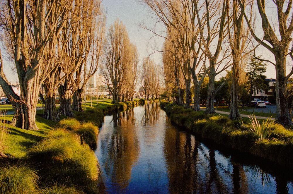 Avon river in christchurch
