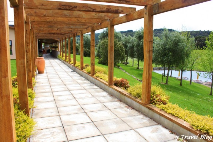 terraced garden at winery