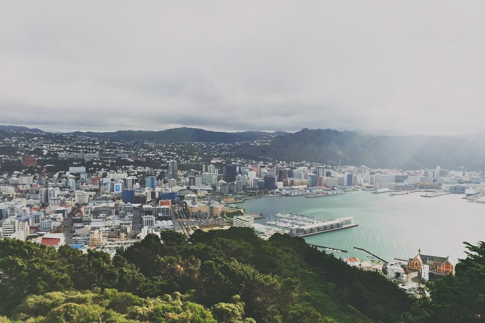 views of wellington cityscape from mount victoria 