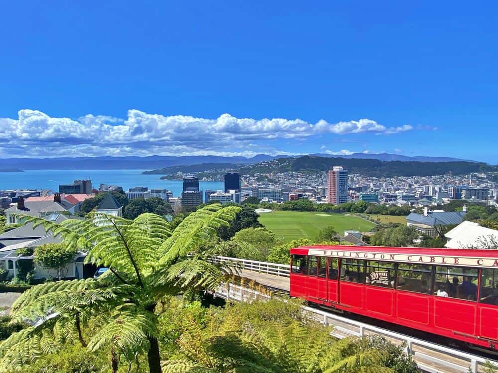 red tram going don through the wellington botanical gardens with city views