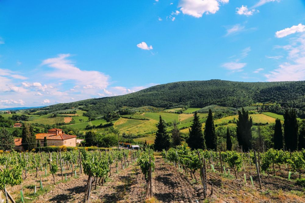 The Beautiful Italian Town Of San Gimignano (4)