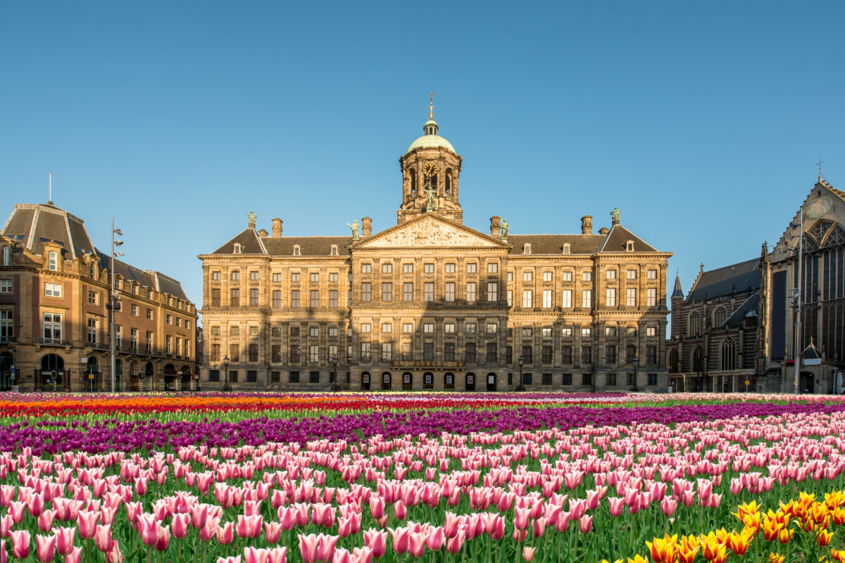 National Tulip Day in Dam Square, Amsterdam, Netherlands