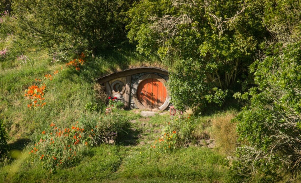 Bride ‘heartbroken’ as Hobbit wedding cancelled after cruise ship is turned away from port